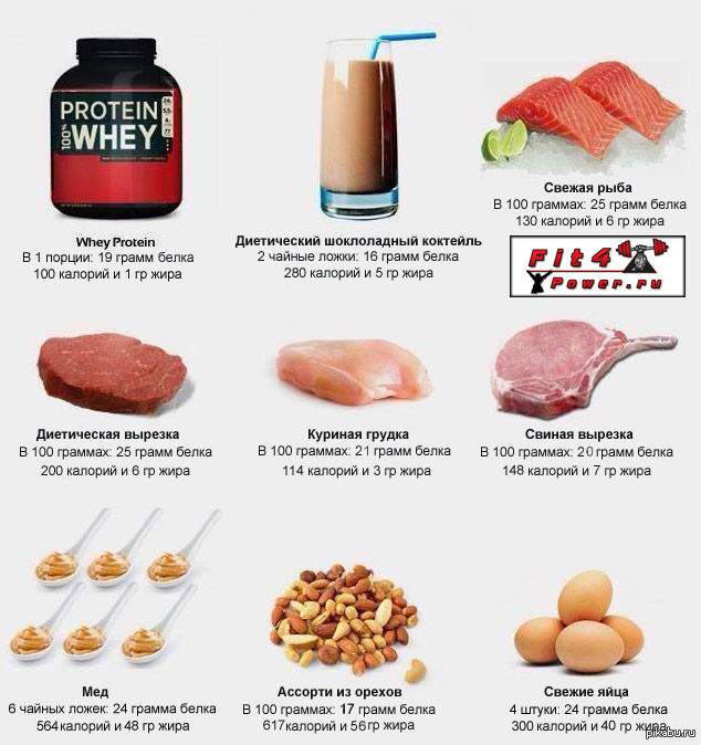 25 продуктов, богатых белком