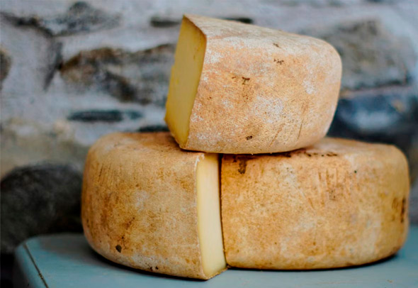 История появления твердого сыра в питании