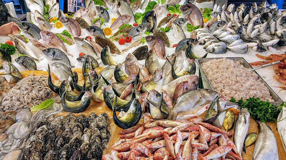 Морепродукты: польза и вред для здоровья