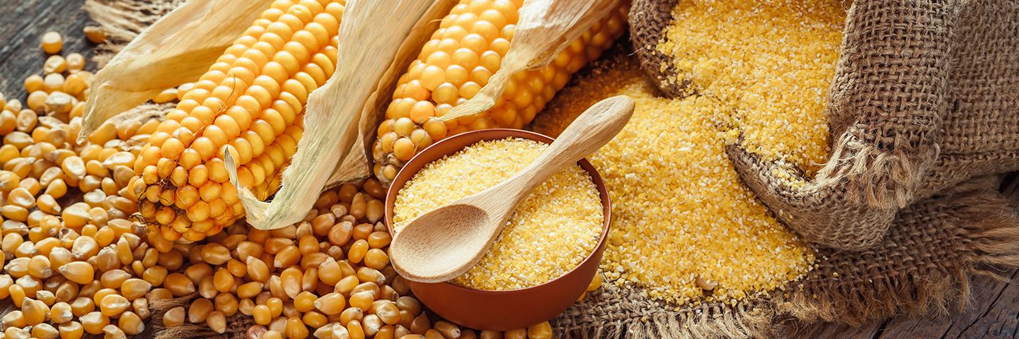 Кукурузная каша: польза и вред для здоровья