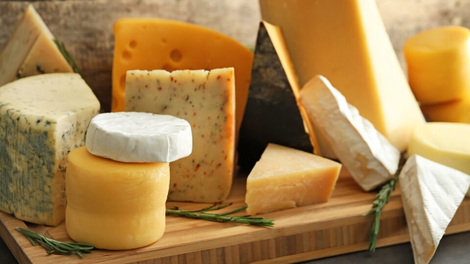 Твердый сыр: польза и вред для организма